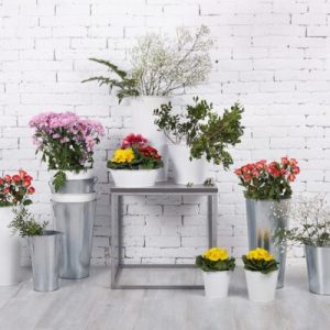 Композиція №10 "Квіти у вазонах"